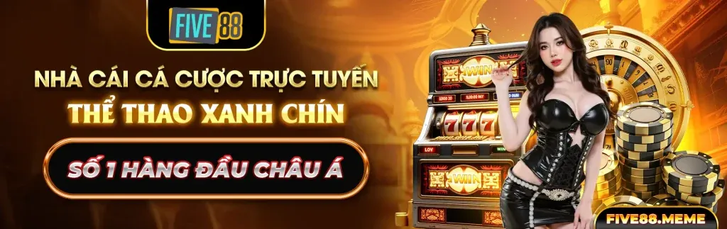 Đấu trường đá gà sôi động tại 6bet win